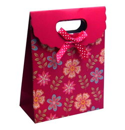 福州印刷 从竖版到横版，探索手提袋制作的工艺与市场